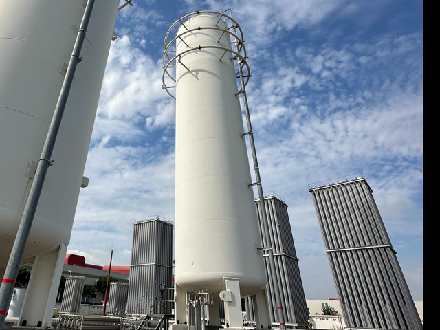 LNG Cryogenic Storage Tank-80M³